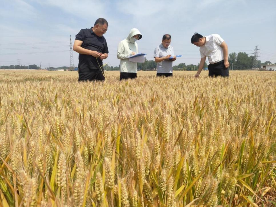 ebb4ce2be1284f4c92602368cc01347c