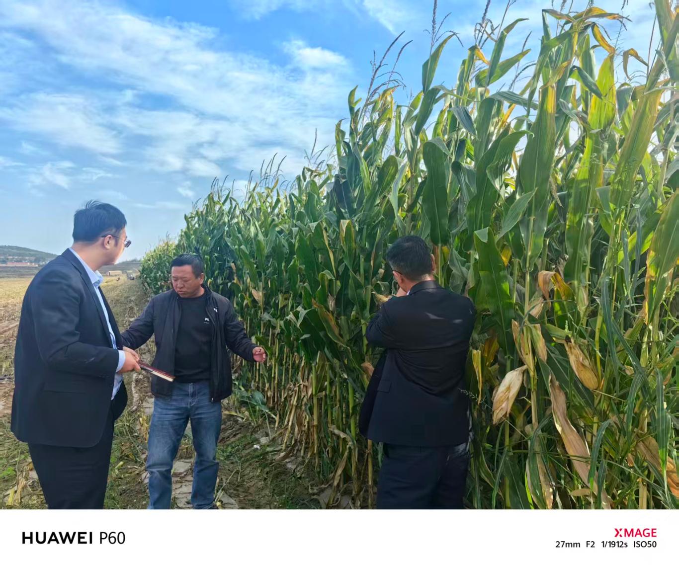 20251010140526110-75-de93b.jpg_scale_.jpg 20251010140526110-75-de93b.jpg_scale_.jpg