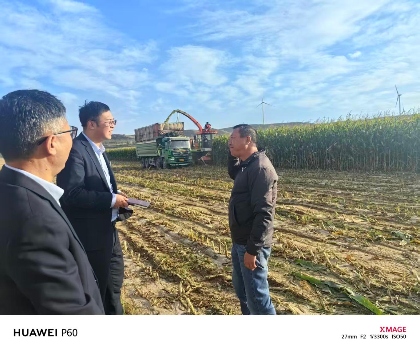 20251010140526128-95-b997c.jpg_scale_.jpg 20251010140526128-95-b997c.jpg_scale_.jpg