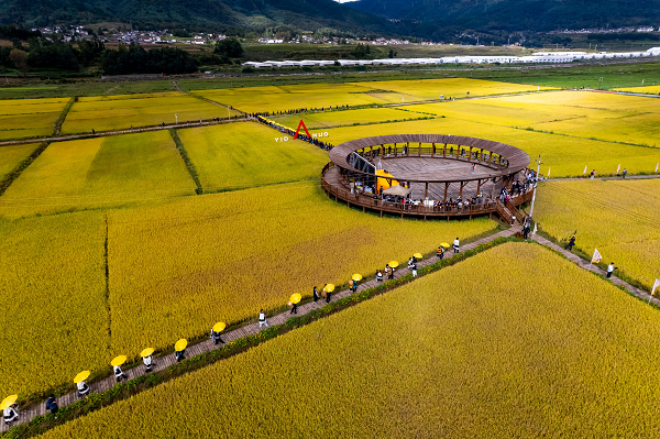 20251010143633497-8-283fc.png 20251010143633497-8-283fc.png