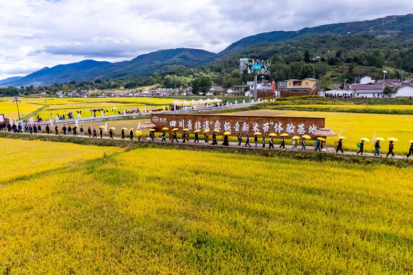 20251010143700319-97-9efd8.png 20251010143700319-97-9efd8.png