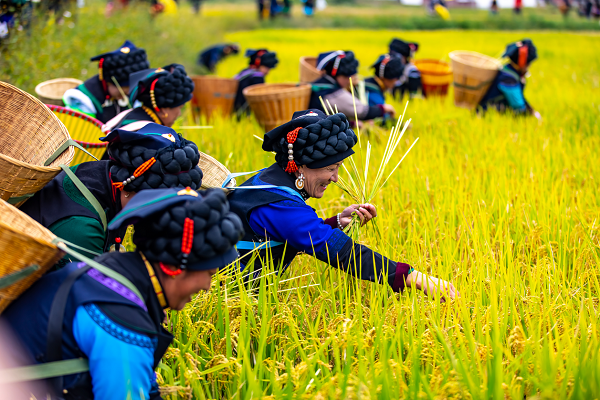 20251010143713568-48-a8946.png 20251010143713568-48-a8946.png