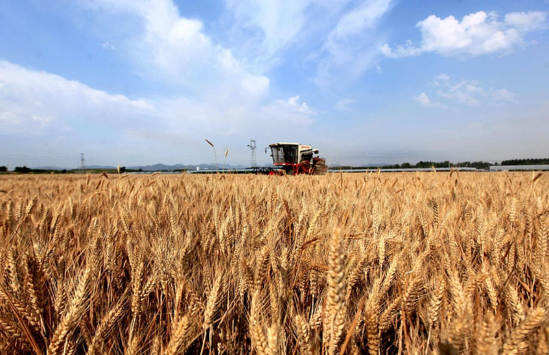 202508151638580318_show