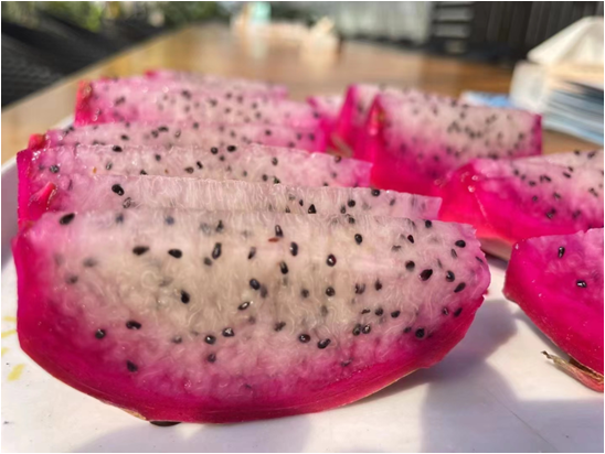 723682e965a6d40740cce7479d481bd6