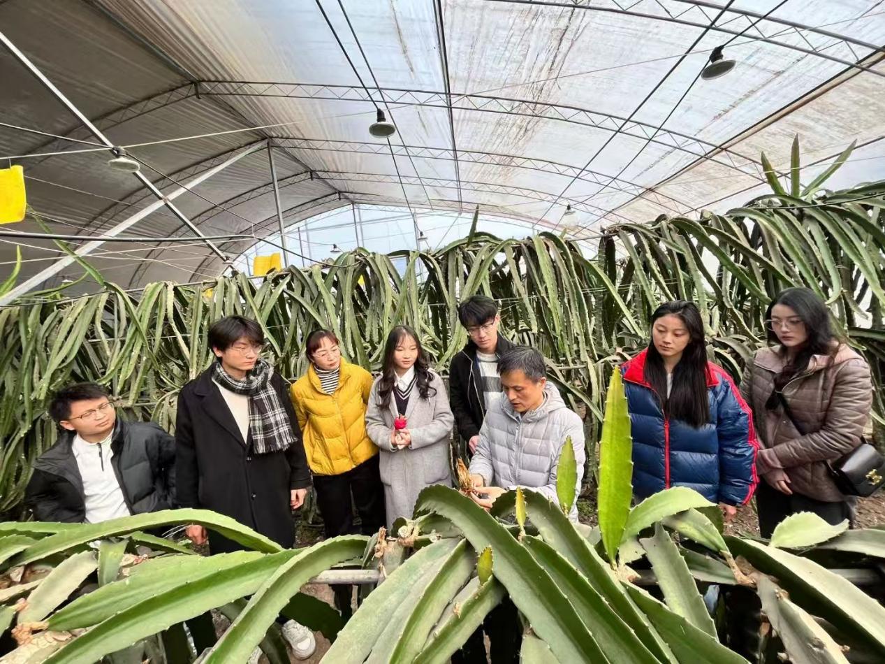 65aad2788a49be6603145b972c7fdffc