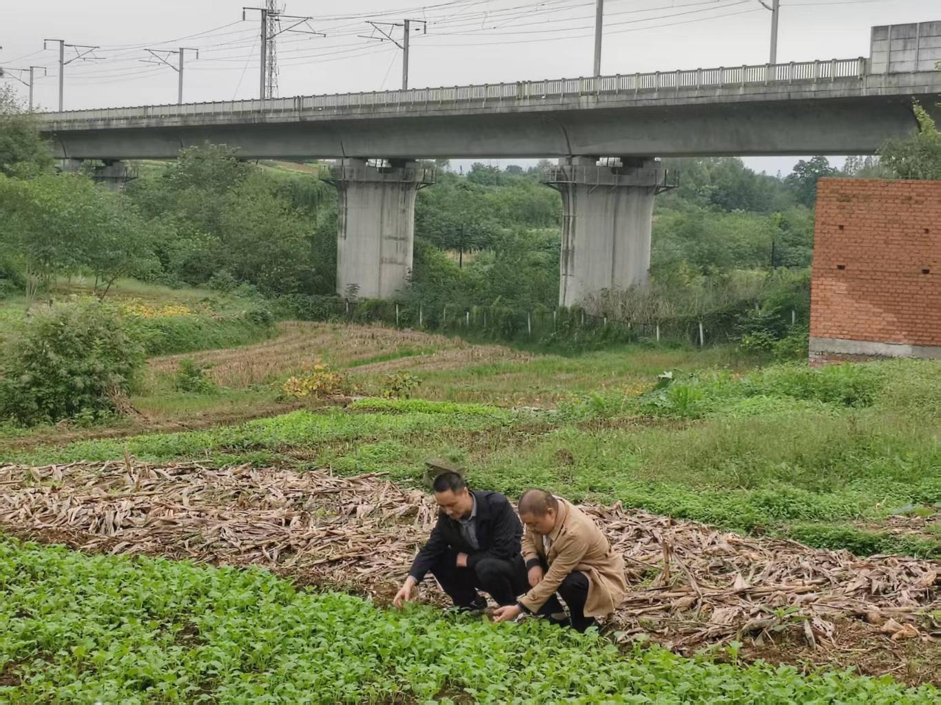 20251013092750740-91-dcdb9.jpg_scale_.jpg 20251013092750740-91-dcdb9.jpg_scale_.jpg