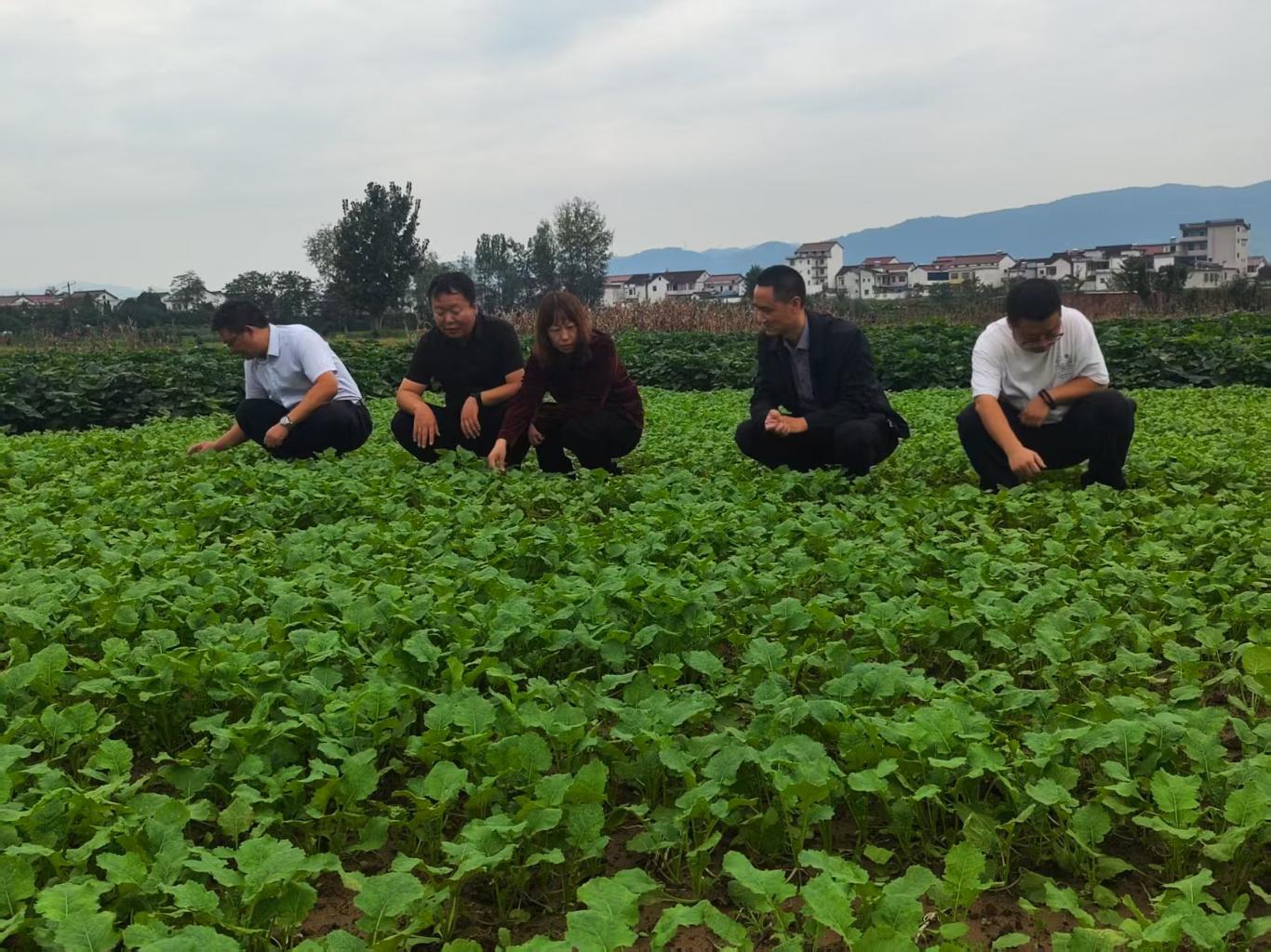 20251013092756527-18-ae89f.jpg_scale_.jpg 20251013092756527-18-ae89f.jpg_scale_.jpg