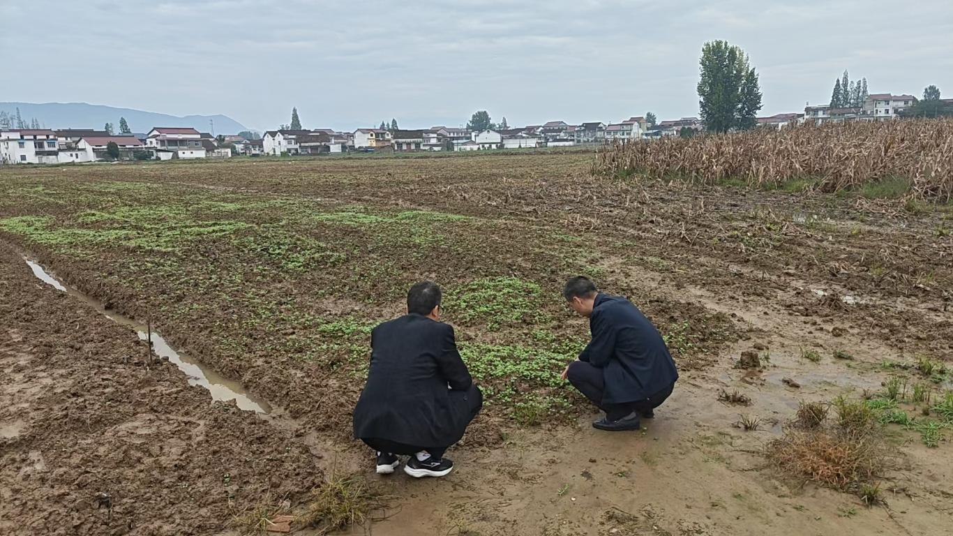 20251013092810238-28-b3366.jpg_scale_.jpg 20251013092810238-28-b3366.jpg_scale_.jpg