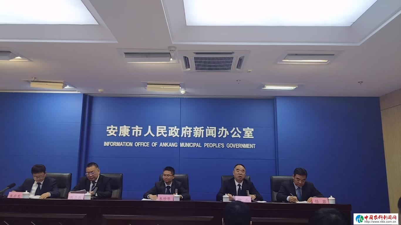 20251013143019459-84-4feef.jpg_scale_.jpg 20251013143019459-84-4feef.jpg_scale_.jpg