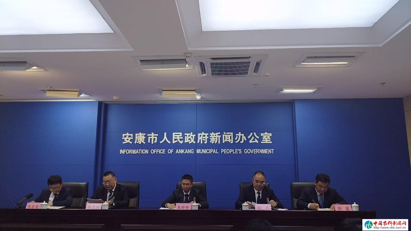 20251013144422958-28-447be.jpg_scale_.jpg 20251013144422958-28-447be.jpg_scale_.jpg