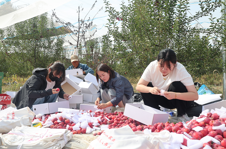 20251013150515855-86-20f10.png 20251013150515855-86-20f10.png