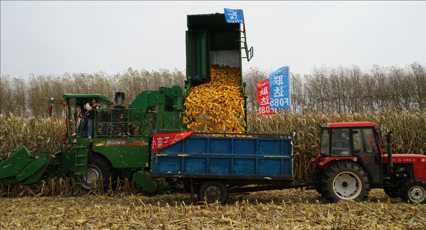 20251013200438015-36-5066b.png_scale_.png 20251013200438015-36-5066b.png_scale_.png