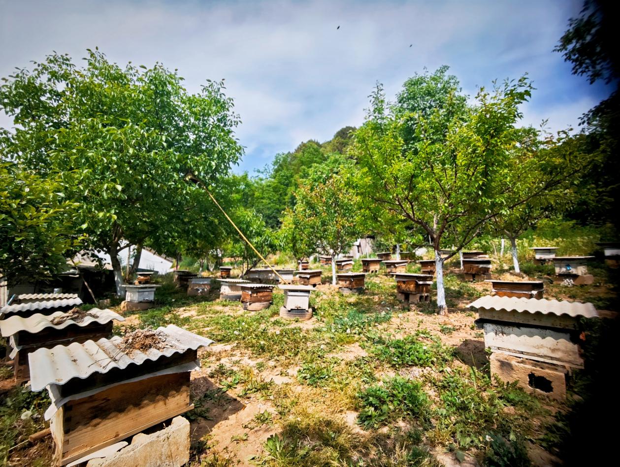 58c2fd54ca36c92b7f9876f1f84bab07