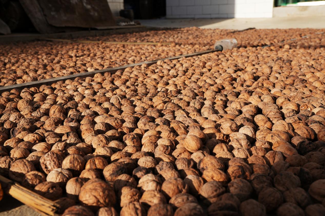 retouch_2025092610301660