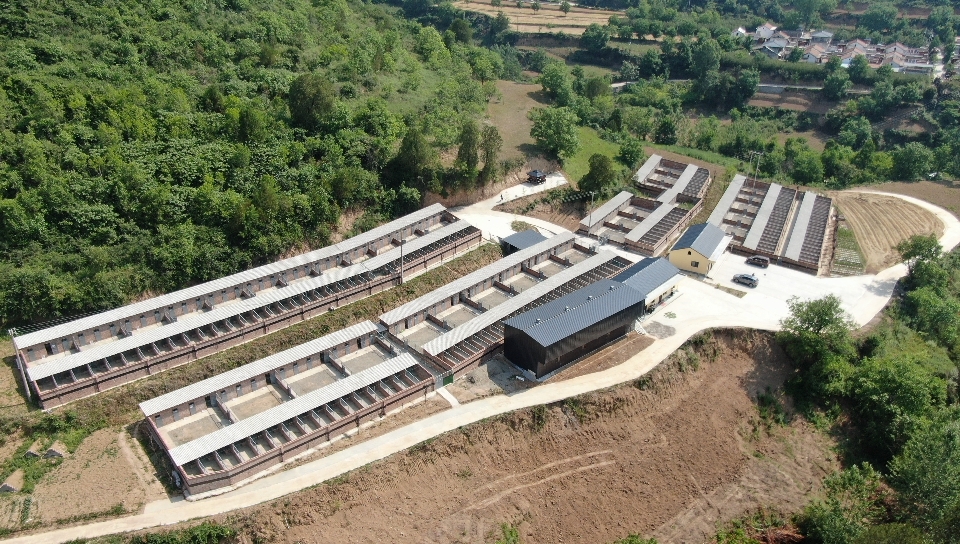 3313f7fcb8c86b947929e7849df3401f