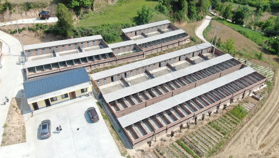 9a381208c8f569425f11dab4702c6bb8