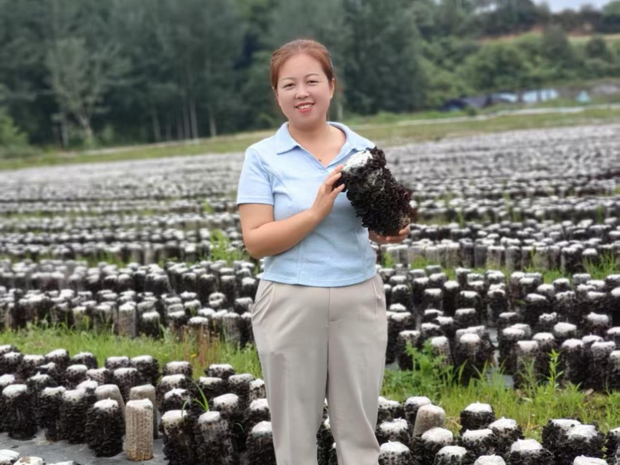 976206750c10c2e930e6c1cb6ae26eb3