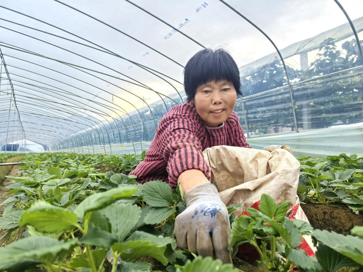 微信图片_20251014140211_46_92