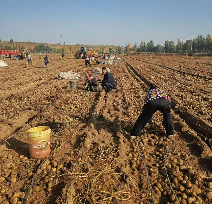 微信圖片_20251015104834_337_7