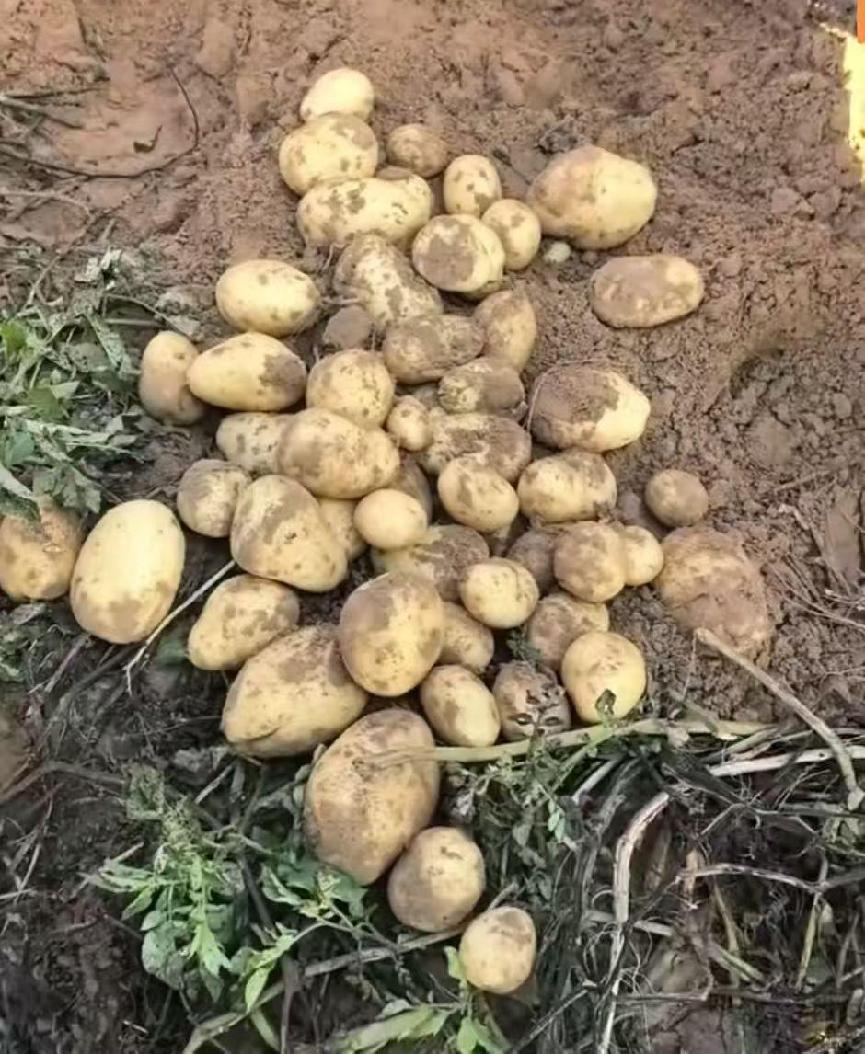 微信圖片_20251015104829_336_7