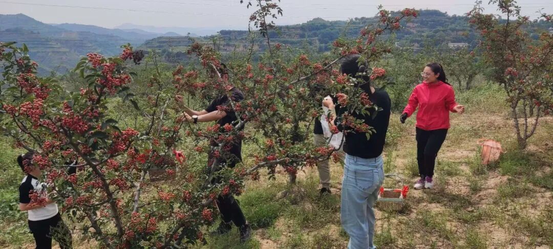 20251016085059782-72-e844c.jpg 20251016085059782-72-e844c.jpg