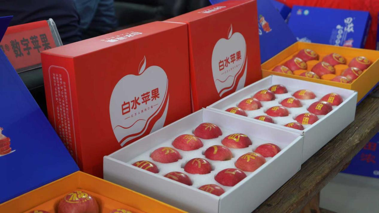 21c6033a1e8e2ab44e3904b618c3a0c5