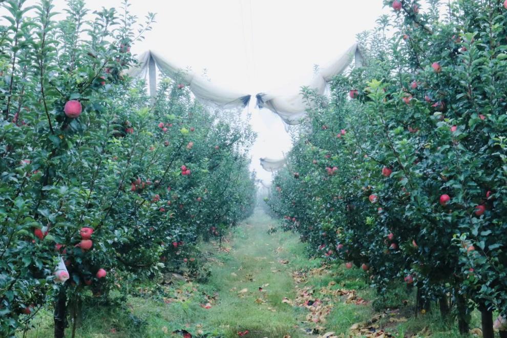 微信圖片_20251016163856_342_32