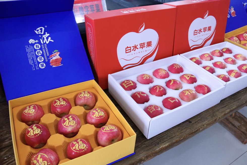 微信圖片_20251016163819_339_32