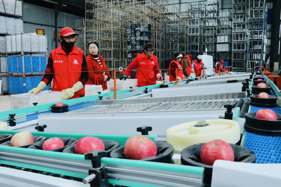 微信圖片_20251016163958_347_32