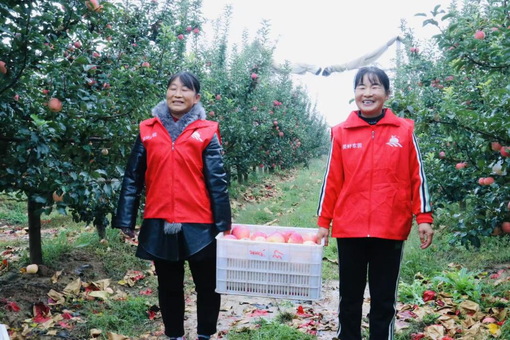 微信圖片_20251016163928_344_32