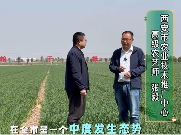 95de1267defc8824aad711cda4a1ecf