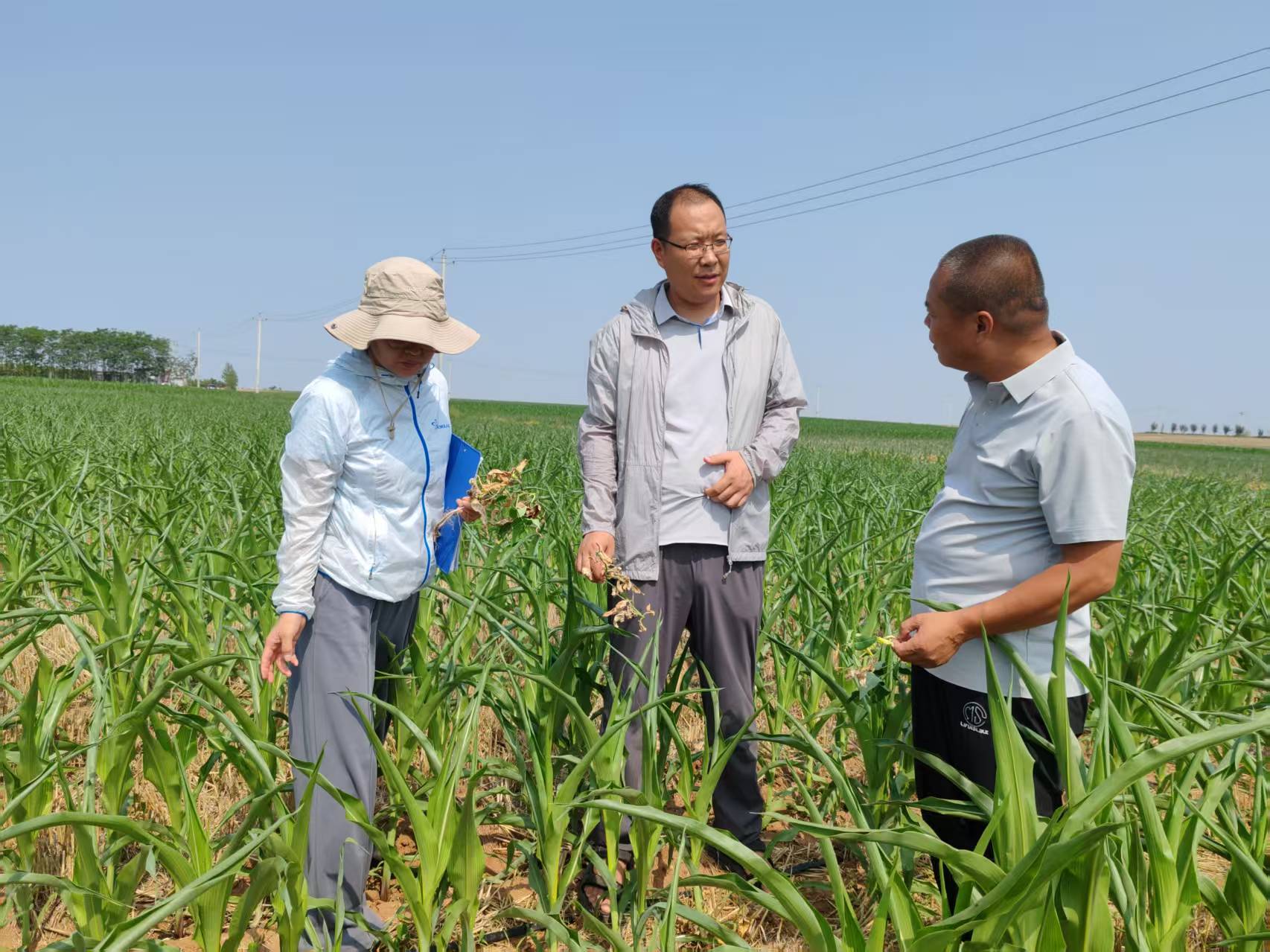 微信图片_20250717152148