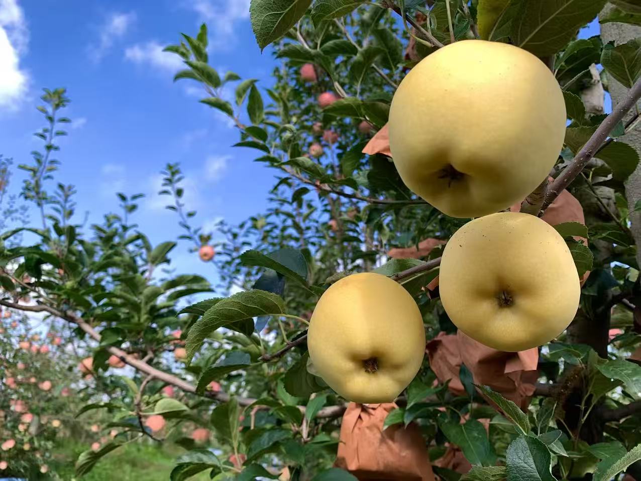 微信图片_20251020161802_6_324