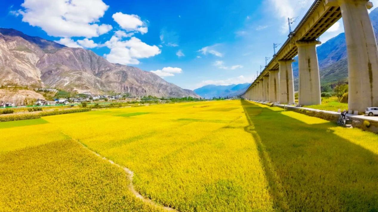 4f5587d8786f5b3a93166c723eccaeb8