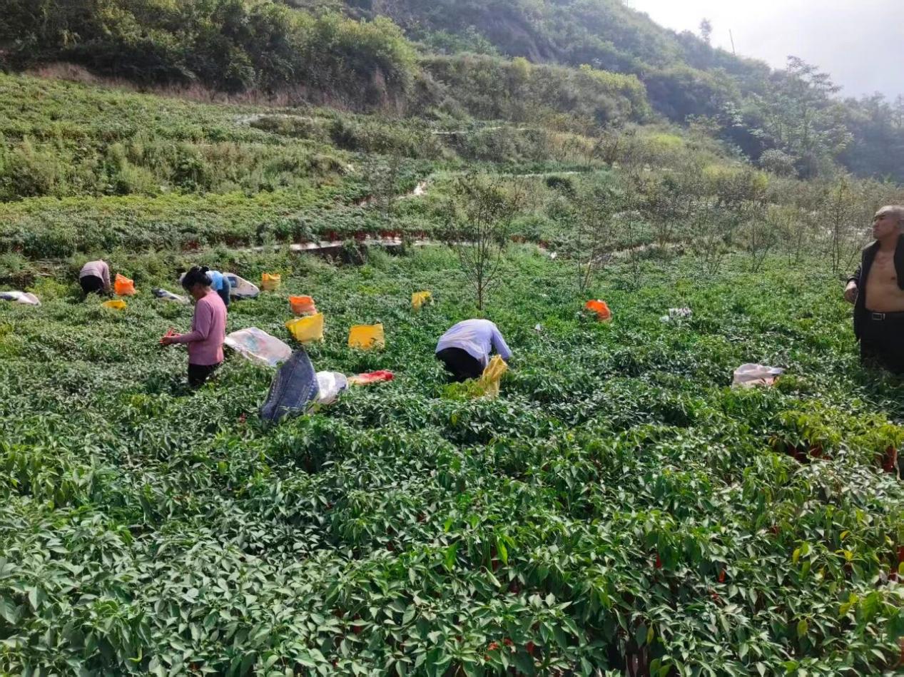 5892e94dfd39c7f4190075089d200b96