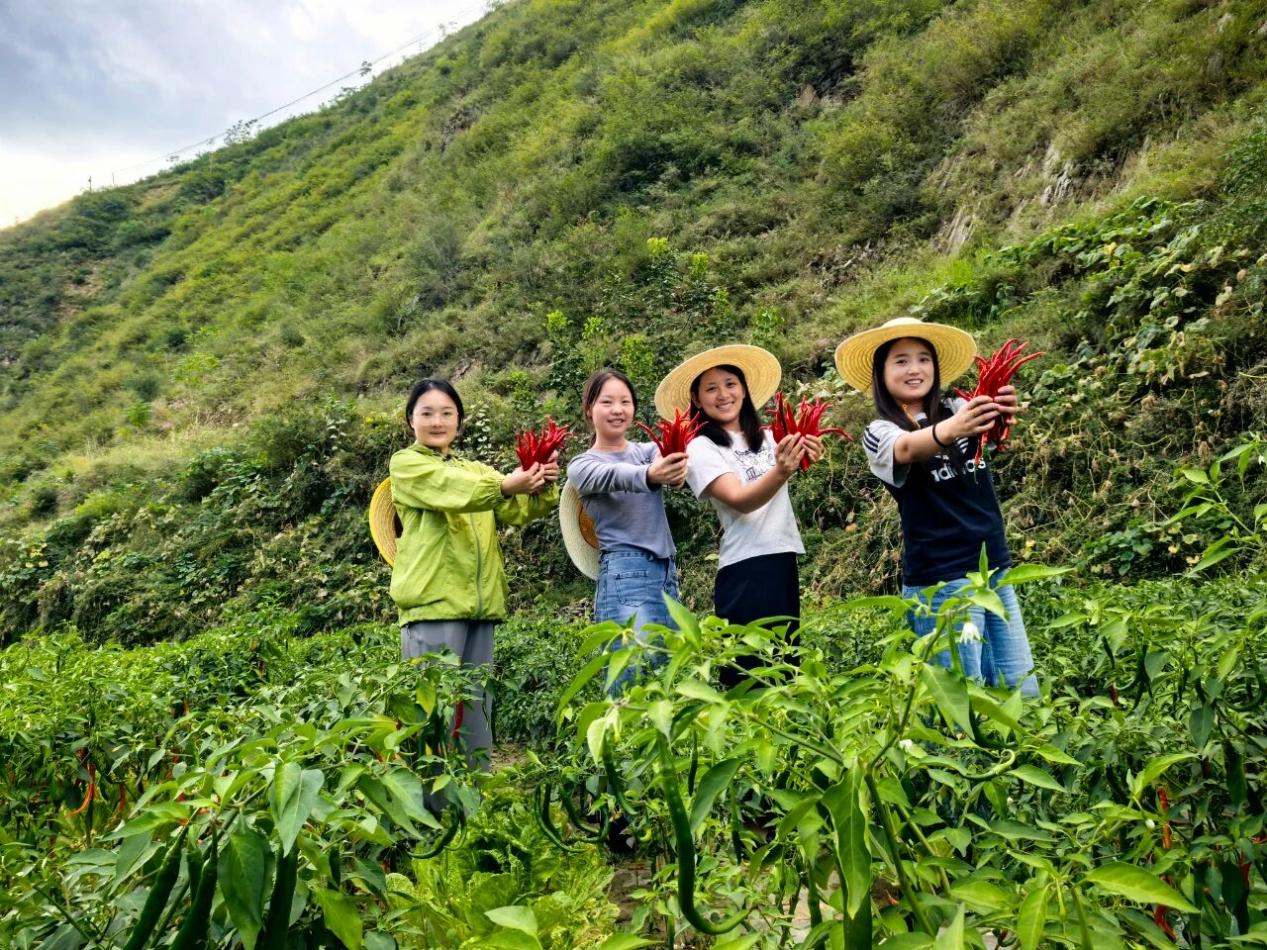 827fbf834dcb1351d2bc349493ec8273