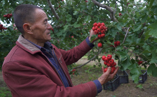 20251023101318314-7-b84be.png 20251023101318314-7-b84be.png