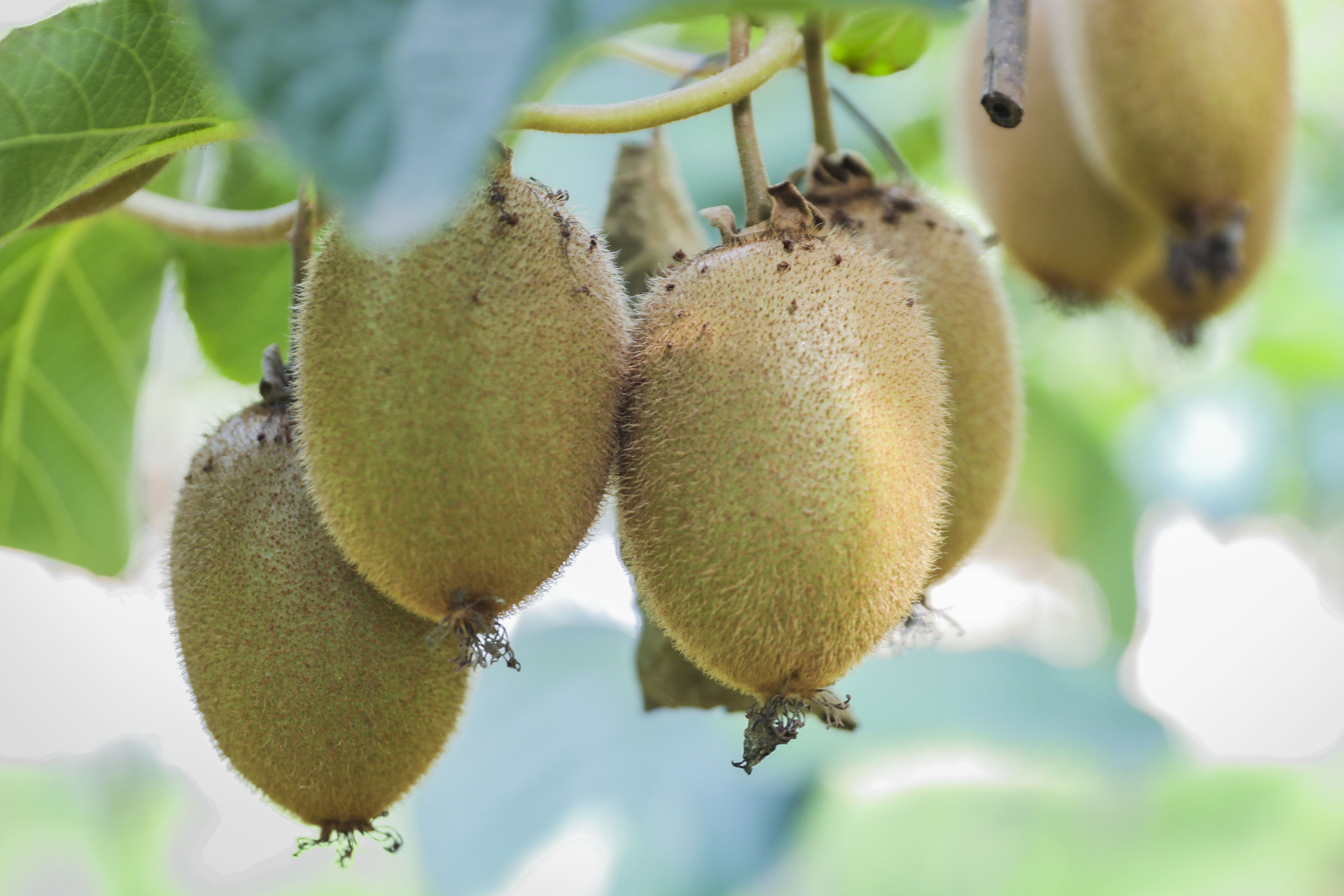 77f7d05164eb99b625f42050a4bcb51f