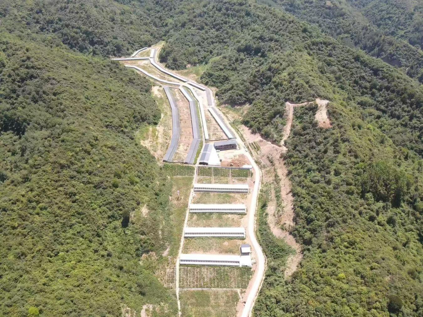 庙坪林麝养殖场