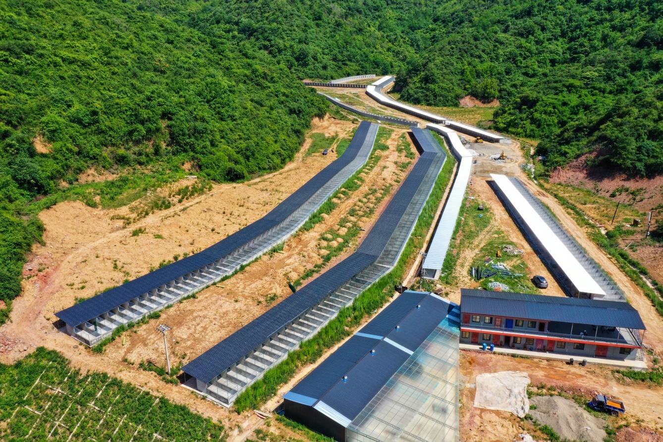 庙坪林麝养殖观光基地 (7)