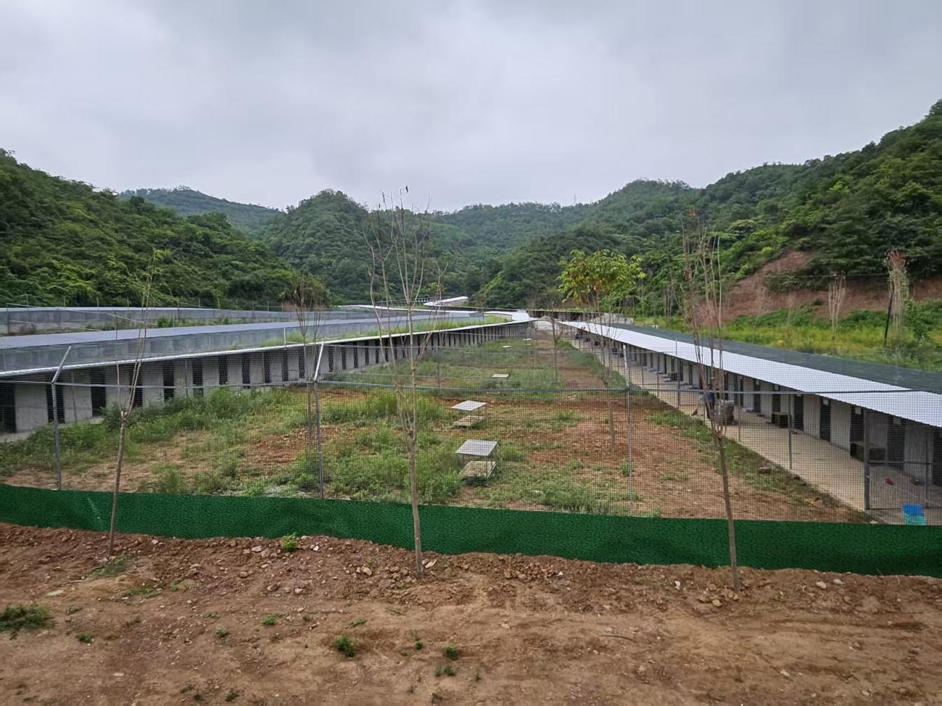 林麝养殖产业发展 (2)