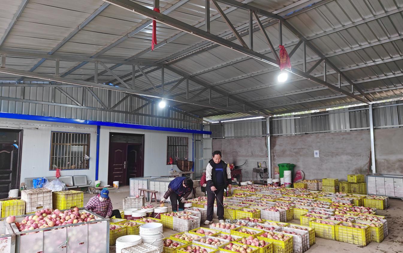 微信图片_20251024082105_2_330