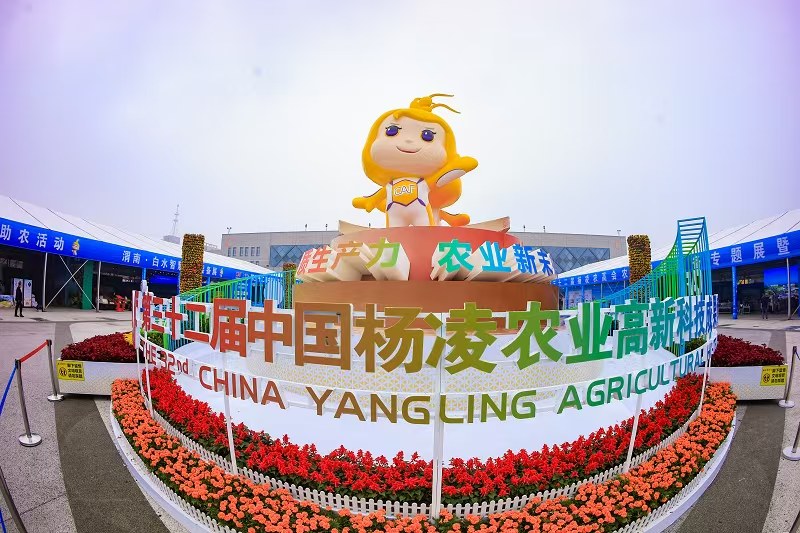 2895c3088f77f6227a21449a47a9fdd8