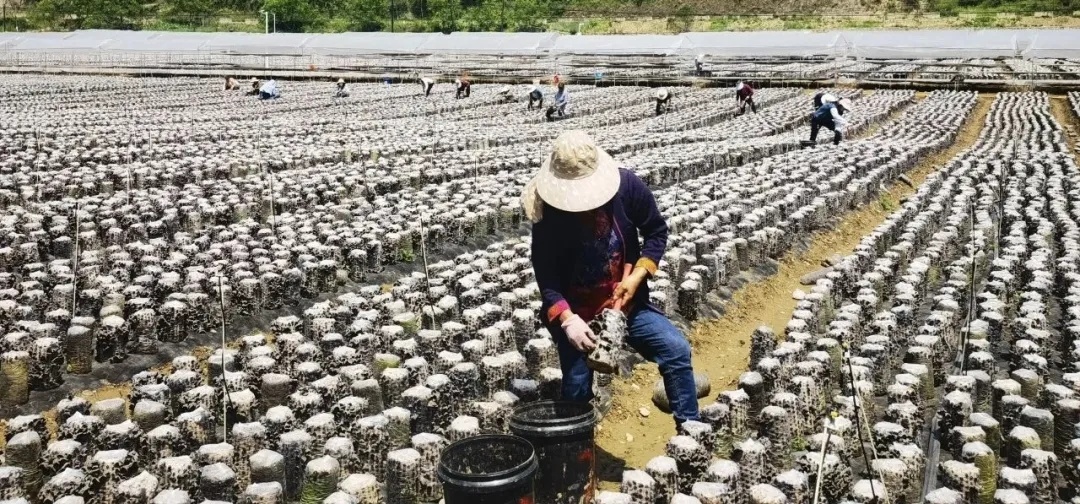 20251026112558085-72-a4c14.jpg 20251026112558085-72-a4c14.jpg