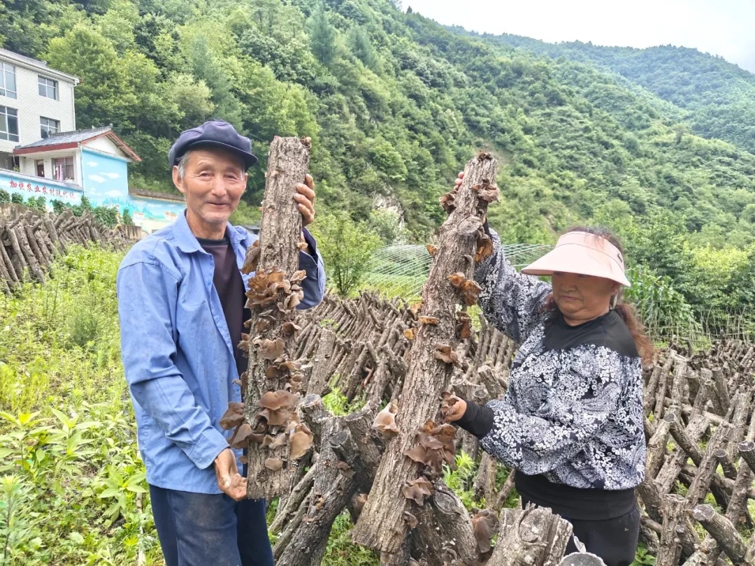 20251026112558141-71-3c549.jpg 20251026112558141-71-3c549.jpg