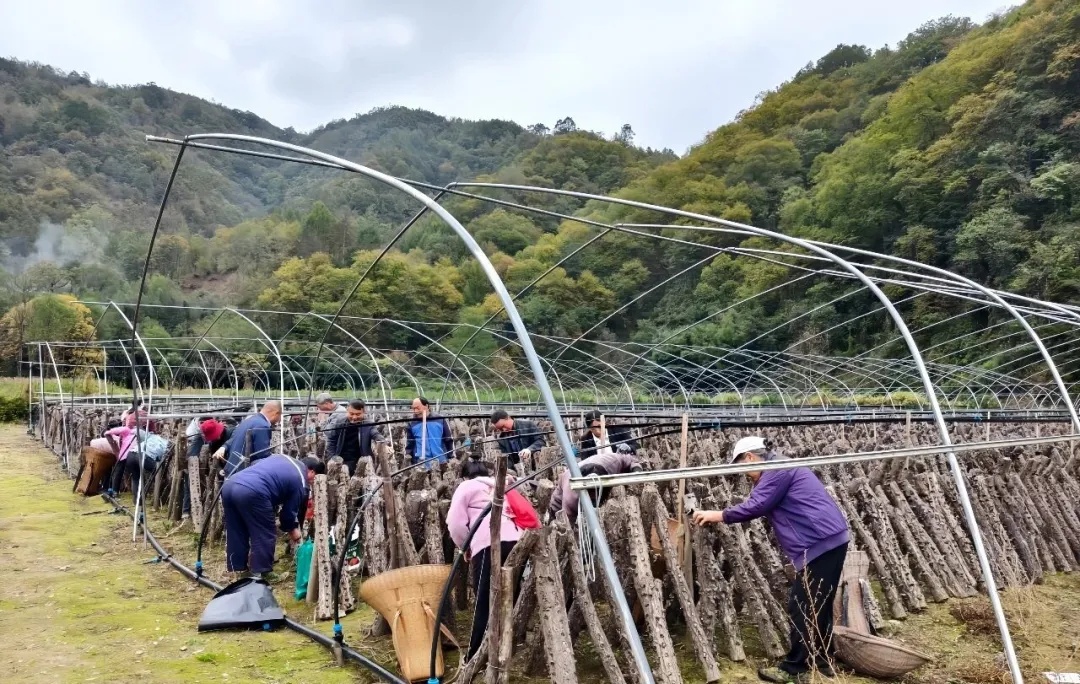 20251026112558464-77-5f2c5.jpg 20251026112558464-77-5f2c5.jpg