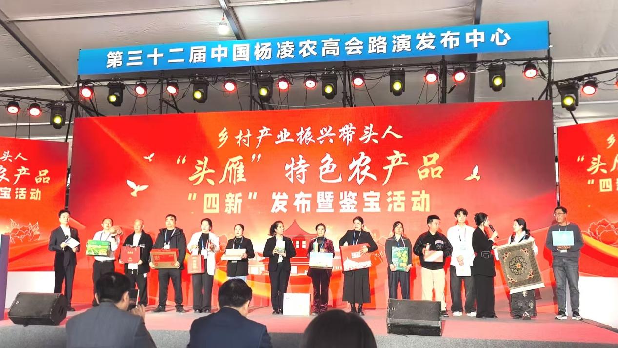 6b327b1a157309a385692d701c52d219