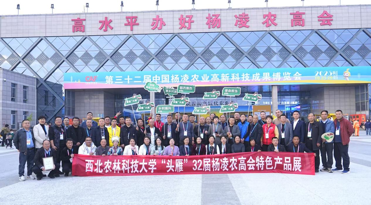 f9468f75ce06606d7eff9ae73dda5987