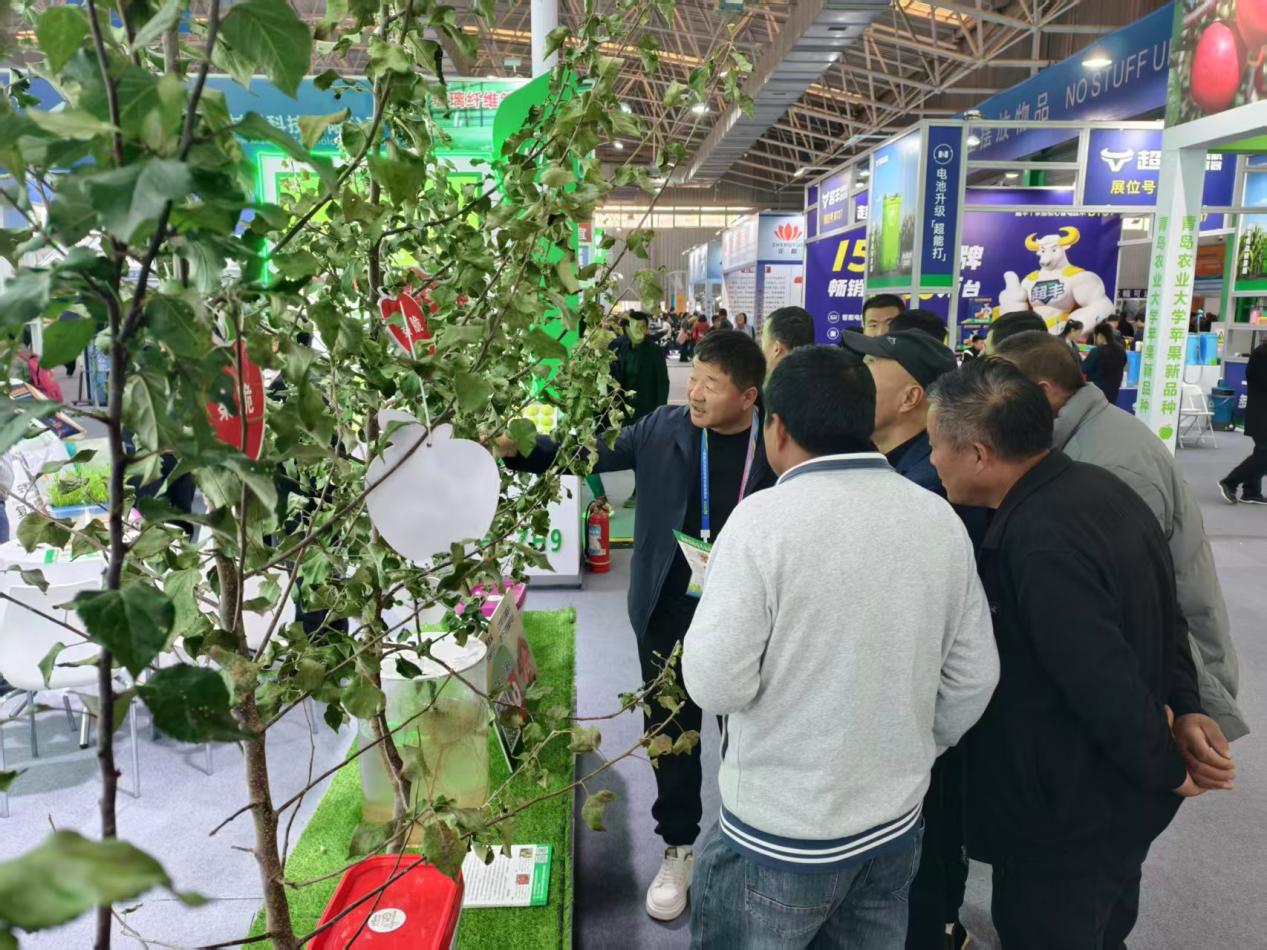 b836db2fbfd89ced9f0605ddb3a1f1d