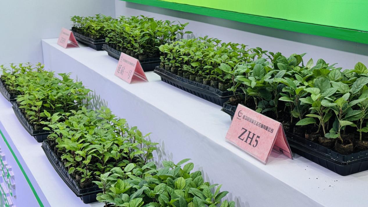 8c0972e570ea9412f3aa27f20a7f456